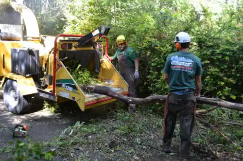 tree services Keokuk